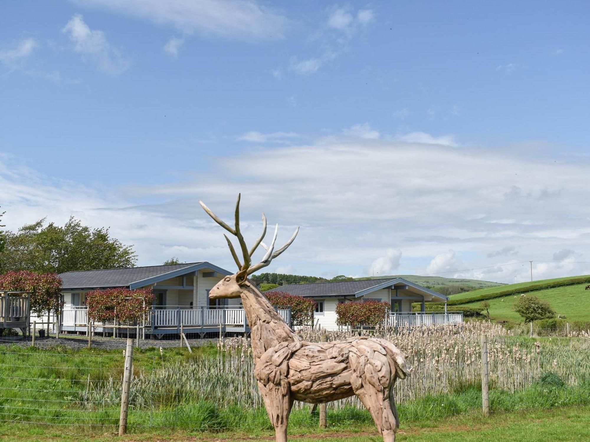 Pine Lodge - Uk30007 Lindal in Furness Exteriér fotografie